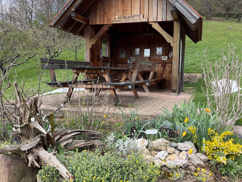 22-04-04 13-35-30 0379